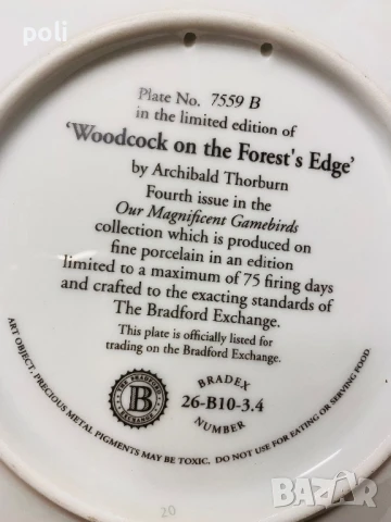 порцеланова чиния за стена 6, снимка 3 - Декорация за дома - 51370119