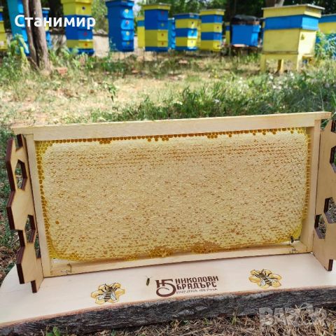 Малки пчелни семейства / ОТВОДКИ, снимка 6 - Други животни - 45545459