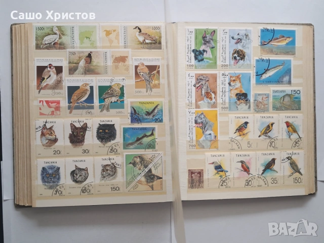 Пощенски марки тема ”Животни”., снимка 9 - Филателия - 53754416