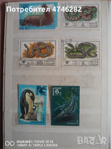 Пощенски марки – класьор СССР и Куба, снимка 9 - Колекции - 53592056