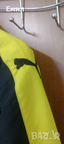 Яке PUMA на Borussia Dortmund , снимка 7 - Якета - 45796076