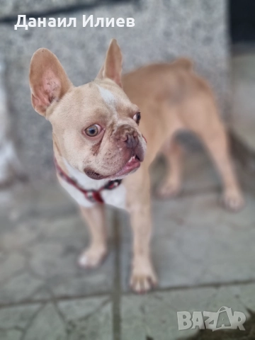 Продава се , снимка 1