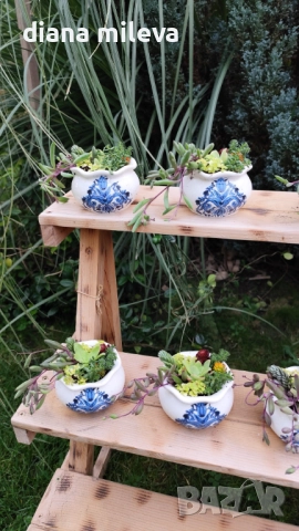 Гърнета аранжирани със сукуленти!, снимка 13 - Декорация за дома - 52496408