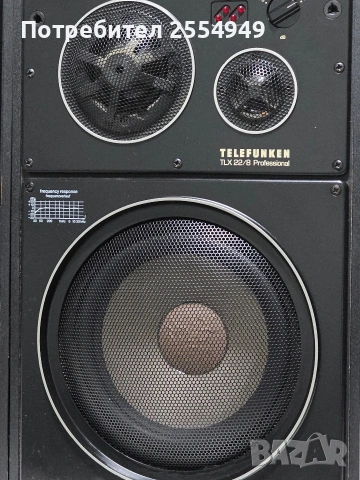 Telefunken TLX22/8 Professional, снимка 3 - Тонколони - 53878819