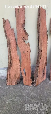 Секвоя янове 120/ 60-40, снимка 3 - Дърводелски услуги - 49915678