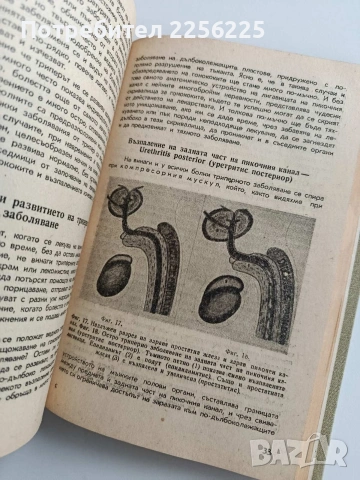 Венерически и невенерически полови болести у мъжа и жената , снимка 6 - Специализирана литература - 53678124