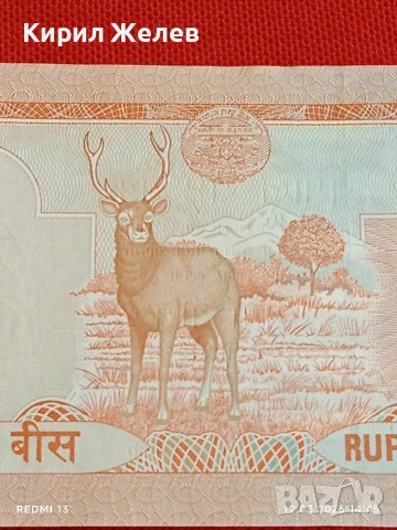 Банкнота НЕПАЛ много красива перфектно състояние непрегъвана за КОЛЕКЦИЯ ДЕКОРАЦИЯ 54060, снимка 6 - Нумизматика и бонистика - 53812293