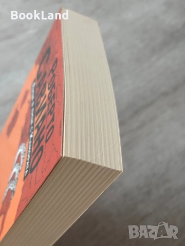 Гомор| Роберто Савиано , снимка 4 - Художествена литература - 52836891