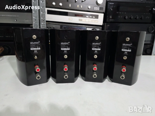 🔥 MISSION / MORDAUNT-SHORT ALUMNI – 4 БРОЯ 🔥, снимка 7 - Тонколони - 54275401