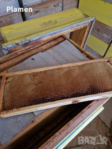 Изградени магазинни рамки Дадан-Блат, снимка 1 - За пчели - 45248384