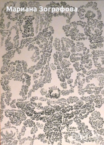  Графики 17 бр. - големи, - Картина „ Аспаруховият дъб ” 1994 г., снимка 16 - Картини - 22615936