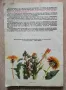 Лечебната сила на природата, 300 билкови рецепти, Фриц Гайгер, снимка 3