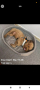 Легло за домашен любимец, снимка 1 - За кучета - 45004717