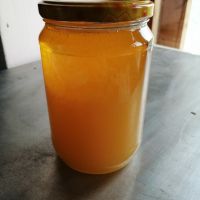 Натурален пчелен мед, снимка 1 - Пчелни продукти - 42499966