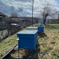 Пчелно оборудване 15кошера, снимка 1 - За пчели - 45047502