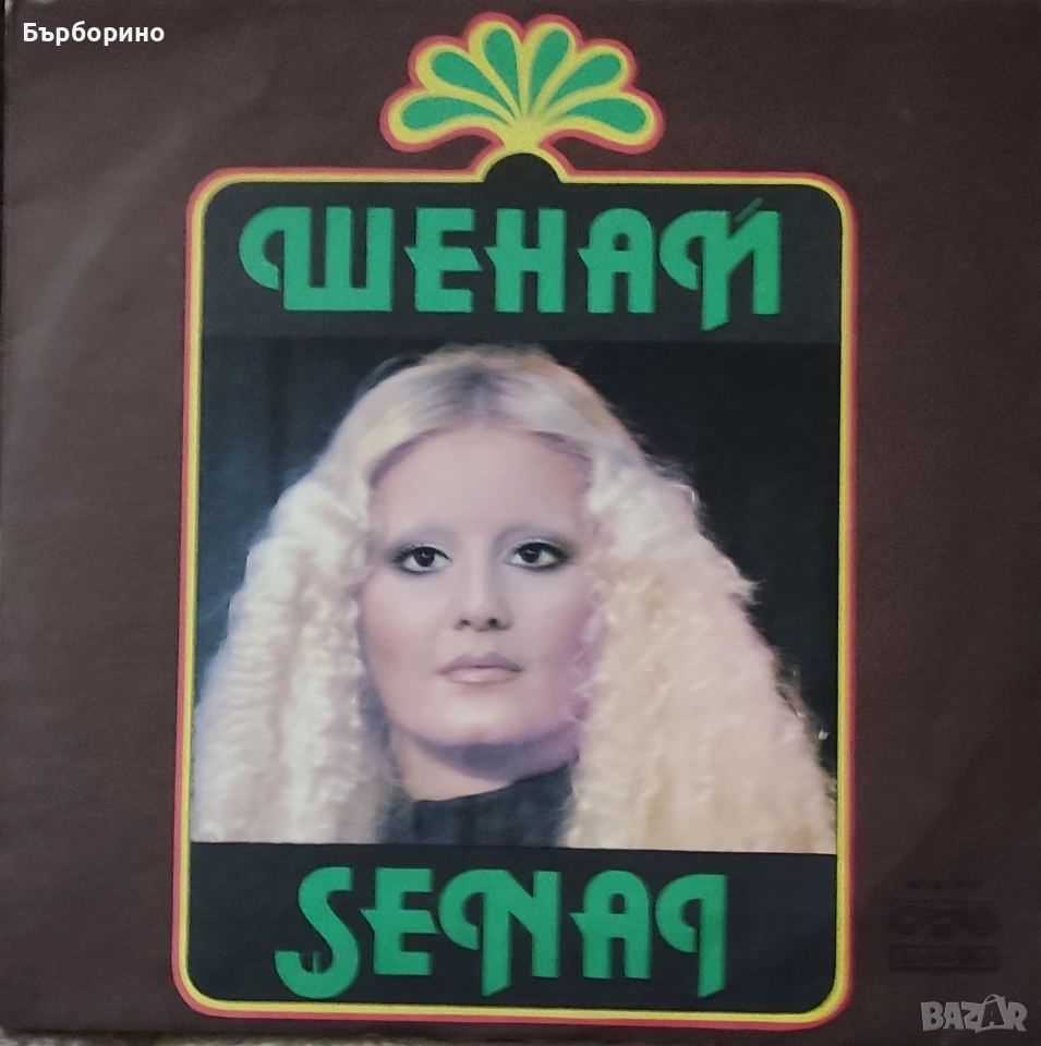 Шенай, снимка 1