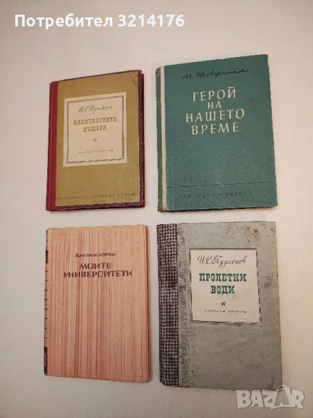 Пролетни води - Иван С. Тургенев, снимка 1
