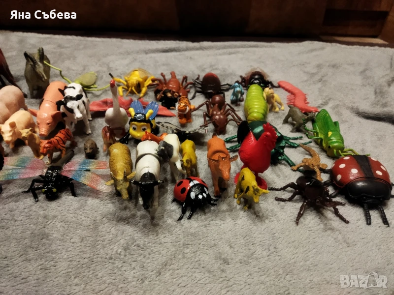 Животни - диви,домашни и насекоми !, снимка 1