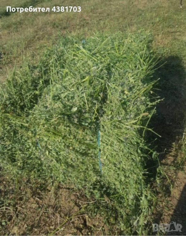 Продавам бали люцерна, снимка 1