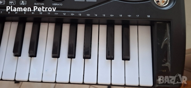 детски синтезатор и HOHNER хармоники , снимка 9 - Синтезатори - 51469975