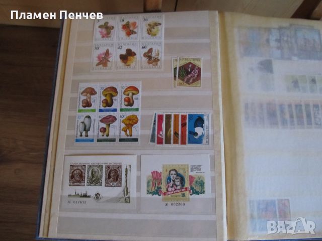 стари колекции пощенски марки, снимка 4 - Филателия - 45154793
