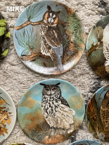 Декоративни порцеланови чинии Coalport, снимка 3 - Декорация за дома - 52324685