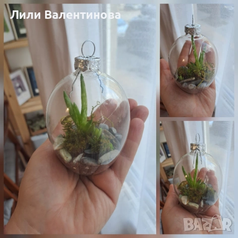 Терариуми, снимка 2 - Други стоки за дома - 54085481