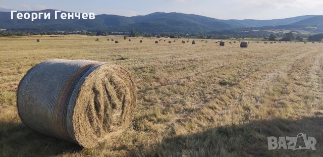 Продавам Рулонни Бали Сено, село Ковачевци (Самоковско), снимка 4 - За селскостопански - 46504556