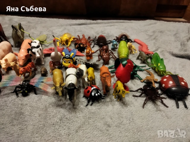 Животни - диви,домашни и насекоми !