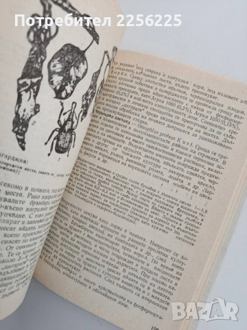 Болести и неприятели по овощните дървесни видове, снимка 9 - Специализирана литература - 54097986