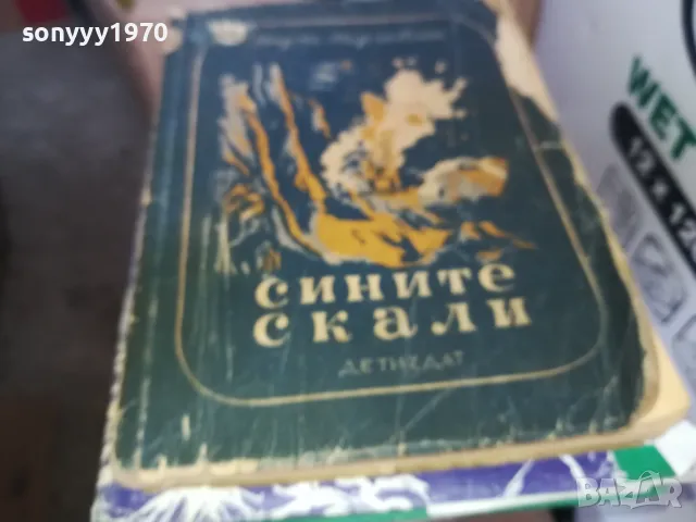 СИНИТЕ СКАЛИ 1302252141, снимка 4 - Други - 49119902