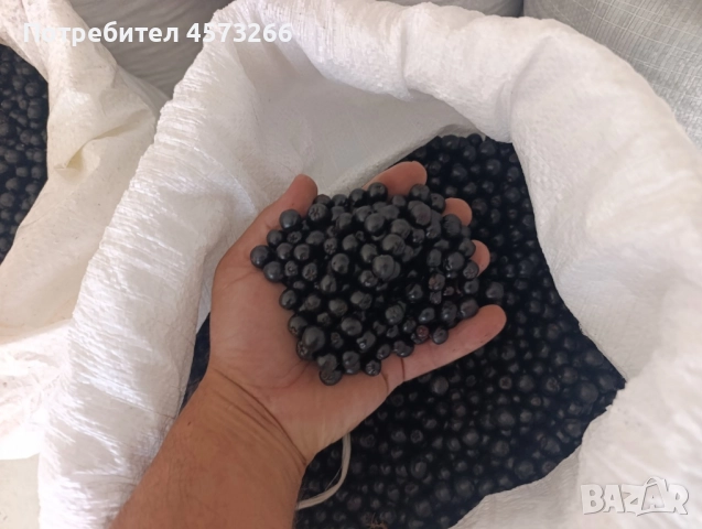 Сокове от ябълки и арония, студено пресовани. Разфасовки от 3 л., снимка 4 - Други - 51526883