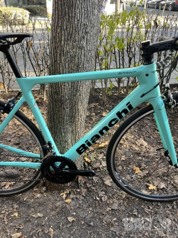 BIANCHI SPINT