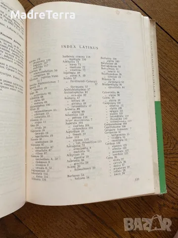 Високопланинските растения в България Н. Стоянов, Б. Китанов, снимка 5 - Енциклопедии, справочници - 46945924