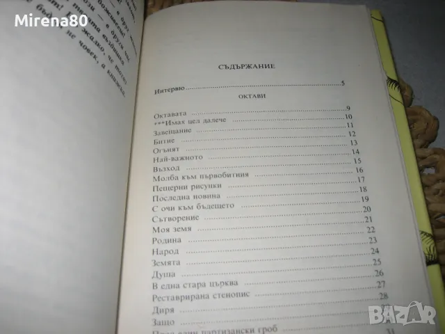 Българска класика - 11 книги за 10 лв, снимка 5 - Българска литература - 49215433