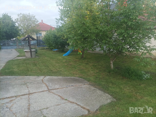 Предлагаме косене, отстраняване и кастрене на дървета, оформяне на храсти и други градинарски услуги, снимка 3 - Други почистващи услуги - 53608621