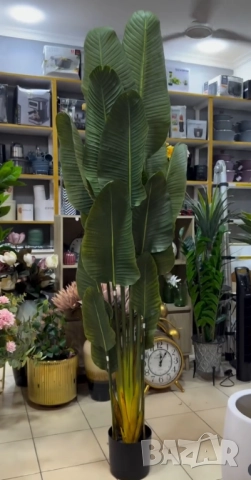 Изкуствено тропическо растение, 1 метър