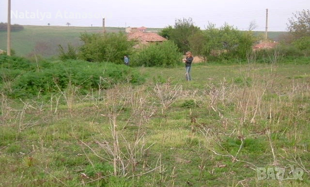 Парцел за продажба в Бенковски, снимка 5 - Парцели - 53656378