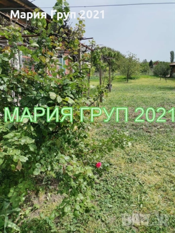 !!!ТОП ОФЕРТА!!!Продавам Обзаведена Къща в село Книжовник област Хасково!!!, снимка 11 - Къщи - 51822693