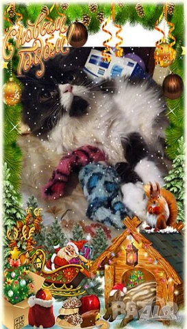  Ваксинирани персийски дългокосмести многоцветни принцове,ЕС паспорт,микрочип домашни любимци!, снимка 14 - Персийска - 37675567