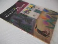 Книга "Къщата на кълвача - Радка Александрова" - 16 стр. - 1, снимка 7