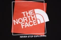 The North Face - мъжка блуза, размер L (Oversized), снимка 6