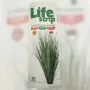 LIFE STRIP APIVET с амитраз - Сърбия, снимка 2