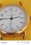 Позлатан швейцарски часовник, снимка 2