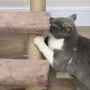 Дърво за котки PawHut, Стълби за домашни любимци, снимка 8