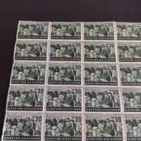 Пощенски марки Царство България 36 броя ПЧЕЛАР чисти без печат за КОЛЕКЦИОНЕРИ 44464, снимка 6 - Филателия - 45303126