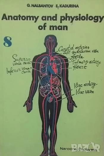 Анатомия и физиология на човека. Учебник за 8. клас Георги К. Налбантов, Елена Б. Кадурина, снимка 1
