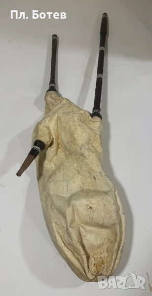 Гайда, снимка 1