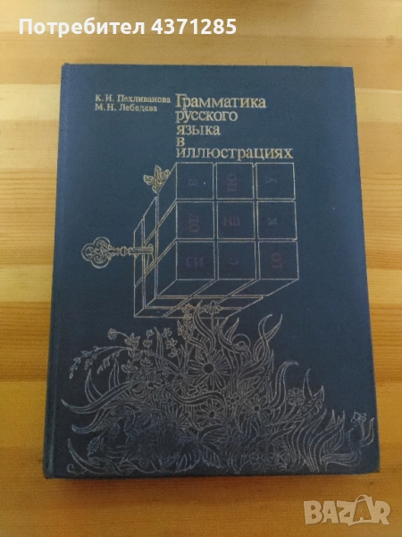 българско-руски илюстрован речник и граматика в илюстрации, снимка 1