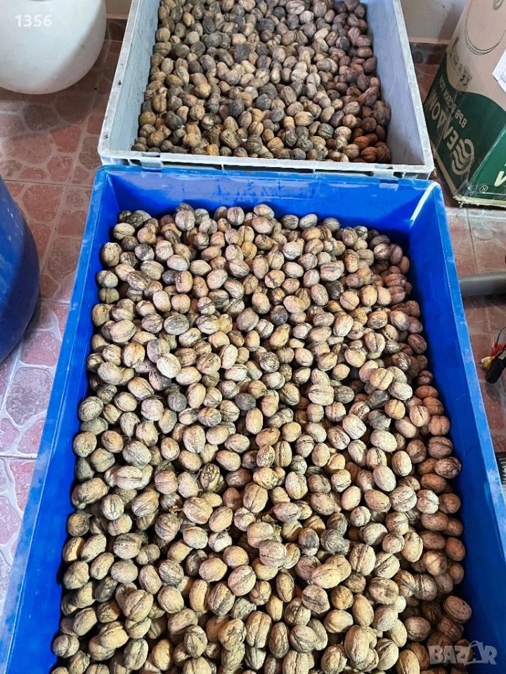 Реколта 2024/2025, снимка 1